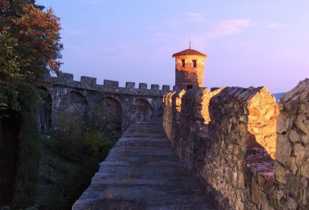 Castello Di Pavone Hotel Pavone Canavese ภายนอก รูปภาพ